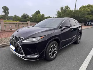 Lexus RX 2020 300 Two-wheel drive elite version Country VI