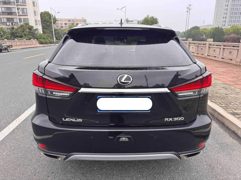 Lexus RX 2020 300 Two-wheel drive elite version Country VI exterior photo 4 Lexus RX 2020 300 Two-wheel drive elite version Country VI exterior photo 4
