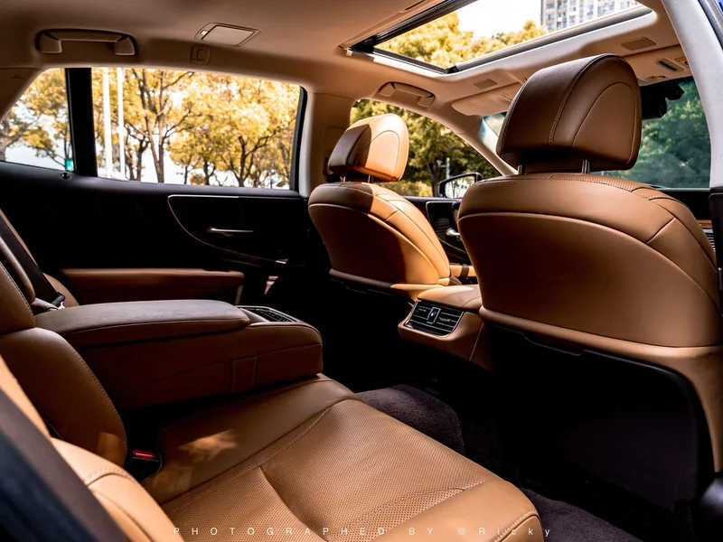 Lexus LS 2018 500h Premium Edition China V interior photo 12