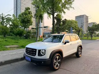 Haval Big Dog 2022 1.5T Dos tracciones Edición de Labrador exterior foto 1 Haval Big Dog 2022 1.5T Dos tracciones Edición de Labrador exterior foto 1