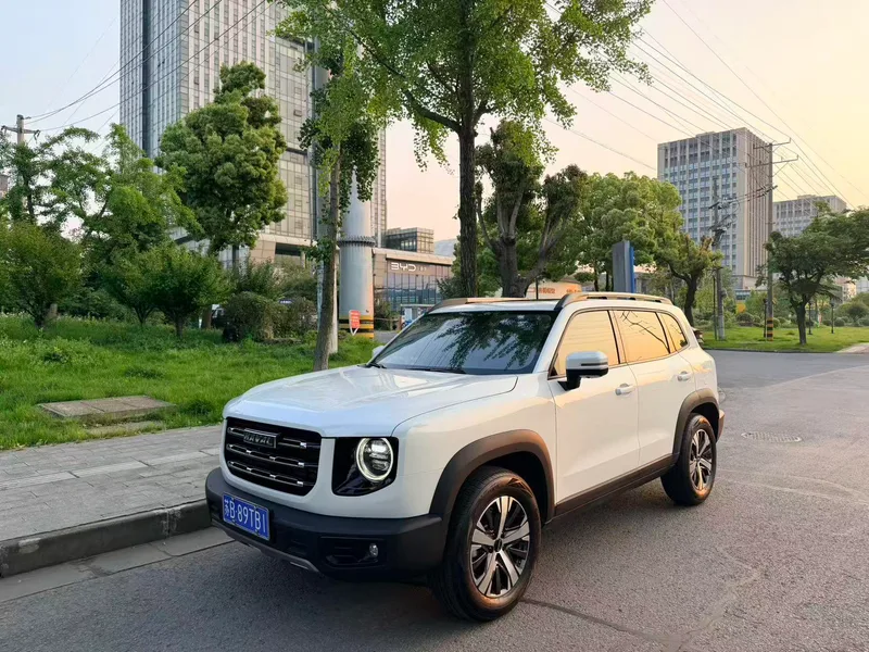 Haval Big Dog 2022 1.5T Dos tracciones Edición de Labrador exterior foto 1 Haval Big Dog 2022 1.5T Dos tracciones Edición de Labrador exterior foto 1