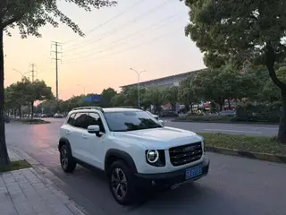 Haval Big Dog 2022 1.5T Dos tracciones Edición de Labrador exterior foto 3 Haval Big Dog 2022 1.5T Dos tracciones Edición de Labrador exterior foto 3