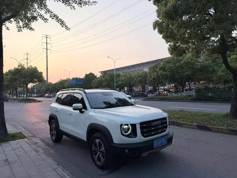 Haval Big Dog 2022 1.5T Dos tracciones Edición de Labrador exterior foto 3 Haval Big Dog 2022 1.5T Dos tracciones Edición de Labrador exterior foto 3