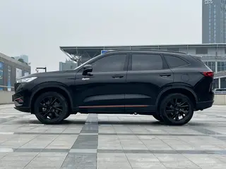 Haval H6 2021 Third generation 2.0T Automatic four-wheel drive Supreme version exterior photo 7 Haval H6 2021 Third generation 2.0T Automatic four-wheel drive Supreme version exterior photo 7