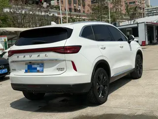 Haval H6 2021 Tercera generación 2.0T Tracción a las cuatro ruedas automática Max Edición exterior foto 5 Haval H6 2021 Tercera generación 2.0T Tracción a las cuatro ruedas automática Max Edición exterior foto 5