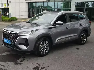 Chery Tiggo 8 Pro 2024 Champion Edition 290T Two-wheel Drive Peak Edition 7 seat