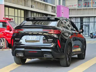 Haval H6S 2022 2.0T Yue Run Edition interior photo 9 Haval H6S 2022 2.0T Yue Run Edition interior photo 9