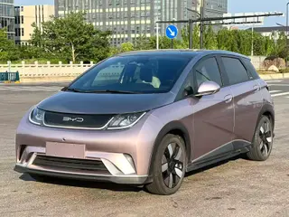 BYD Dolphin 2023 Knight Edition
