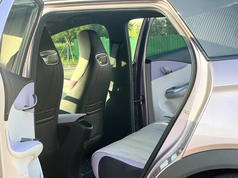 BYD Dolphin 2023 Knight Edition interior photo 9 BYD Dolphin 2023 Knight Edition interior photo 9