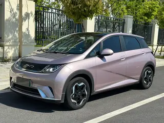 BYD Dolphin 2021 Модная версия