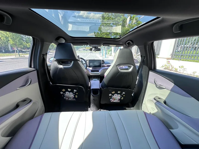 BYD Dolphin 2021 Edición de moda interior foto 11 BYD Dolphin 2021 Edición de moda interior foto 11