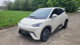 BYD Seagull 2024 Édition Gloire 305KM Version gratuite