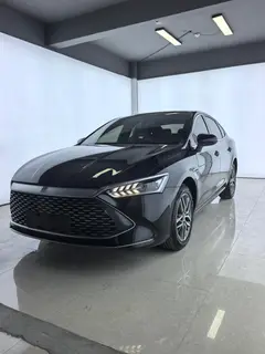 BYD Qin PLUS 2023 DM-i Champion Edition 120KM Transcendent