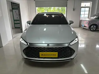 BYD Qin PLUS 2021 DM-i 55KM Modelo insignia exterior foto 2 BYD Qin PLUS 2021 DM-i 55KM Modelo insignia exterior foto 2