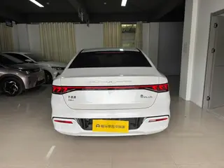 BYD Qin PLUS 2021 DM-i 55KM Modelo insignia exterior foto 5 BYD Qin PLUS 2021 DM-i 55KM Modelo insignia exterior foto 5