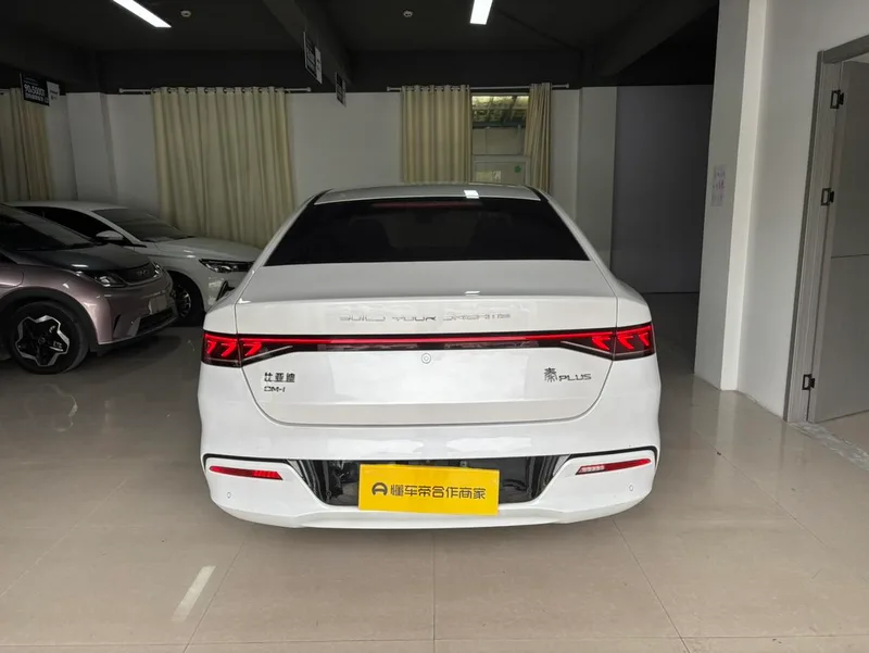 BYD Qin PLUS 2021 DM-i 55KM Modelo insignia exterior foto 5 BYD Qin PLUS 2021 DM-i 55KM Modelo insignia exterior foto 5