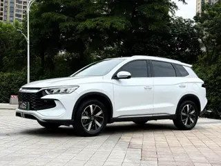 BYD Song Pro 2024 DM-i Версия славы 71km Пилотный тип