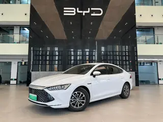 BYD Qin PLUS 2024 Edición Gloria DM-i 55KM Líder
