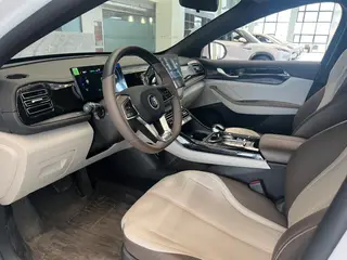 BYD Qin PLUS 2024 Glory Edition DM-i 55KM Leading Type exterior photo 6