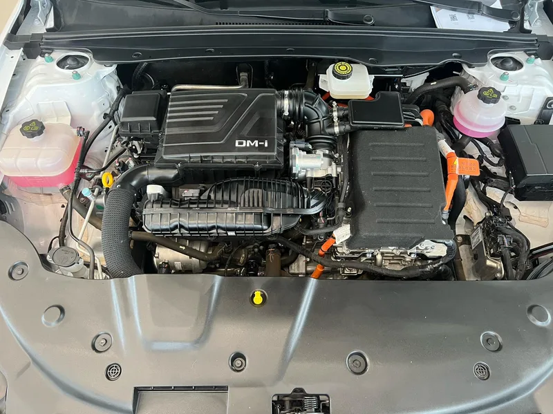 BYD Qin PLUS 2024 Glory Edition DM-i 55KM Leading Type interior photo 17