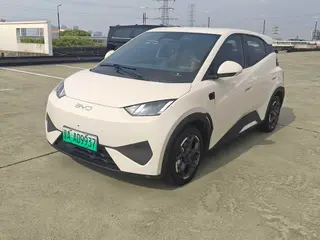 BYD Seagull 2025 Smart Driving Version 305KM Free version