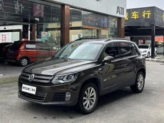 Volkswagen Tiguan 2017 300TSI Автоматическая двухприводной Шелковый путь Comfort Edition