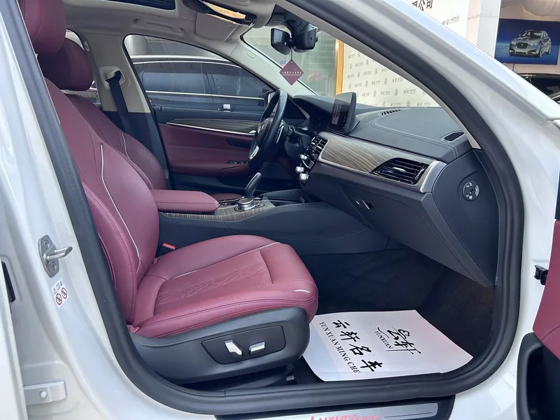BMW 5 Series 2021 530Li Leader Ensemble de luxe extérieur photo 7