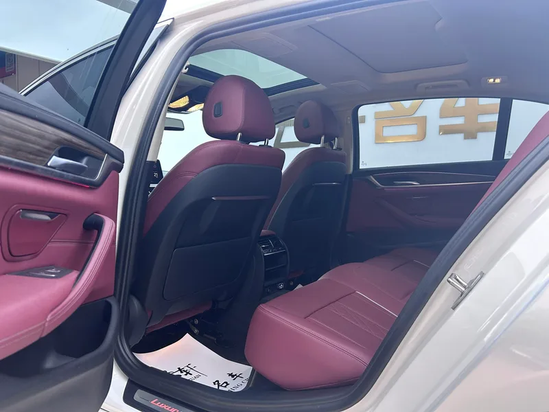 BMW 5 Series 2021 530Li Leader Ensemble de luxe intérieur photo 8