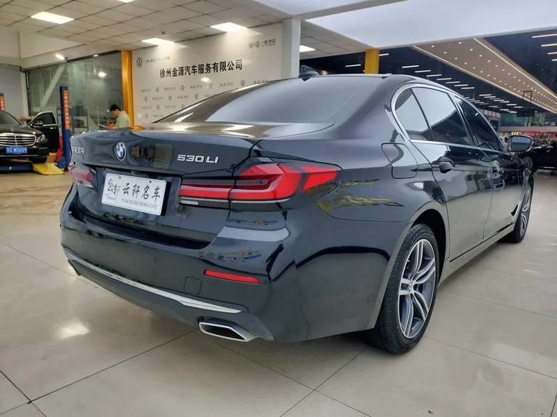 BMW 5 Series 2022 Вторичная модификация 530Li Лидирующий Роскошный набор интерьер фото 13