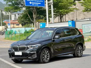 BMW X5 2022 xDrive 30Li Premium Class M Sports suit