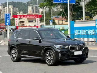 BMW X5 2022 xDrive 30Li Tipo de lujo M Conjunto deportivo exterior foto 3