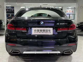 BMW 5 Series 2023 530Li Лидирующий M Спортивный костюм интерьер фото 16 BMW 5 Series 2023 530Li Лидирующий M Спортивный костюм интерьер фото 16