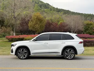 Geely Monjaro 2024 2.0TD High-power automatic two-wheel drive skyline version exterior photo 7