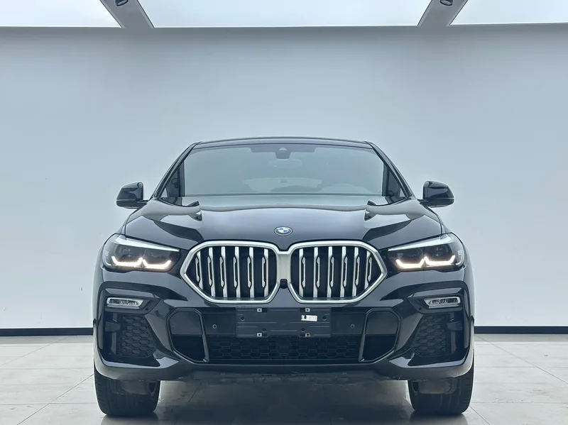 BMW X6 2021 xDrive30i M Conjunto deportivo exterior foto 2