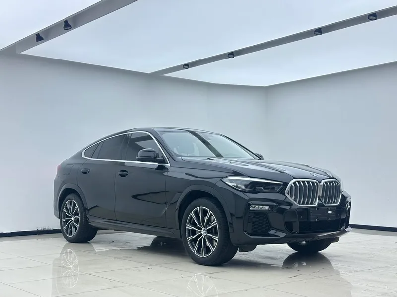 BMW X6 2021 xDrive30i M Conjunto deportivo exterior foto 3