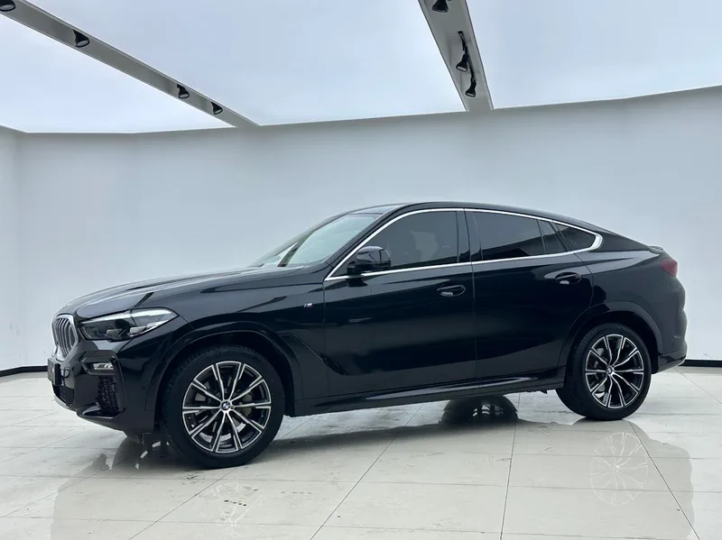 BMW X6 2021 xDrive30i M Conjunto deportivo exterior foto 4