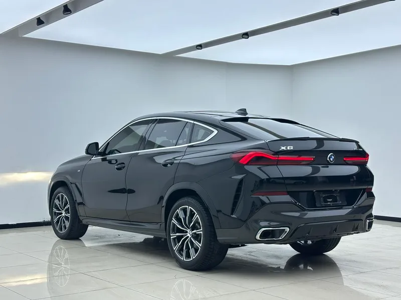 BMW X6 2021 xDrive30i M Conjunto deportivo interior foto 7