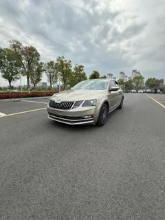Skoda Octavia 2019 TSI230 DSG Édition de luxe de Zhixing Pays V extérieur photo 1 Skoda Octavia 2019 TSI230 DSG Édition de luxe de Zhixing Pays V extérieur photo 1