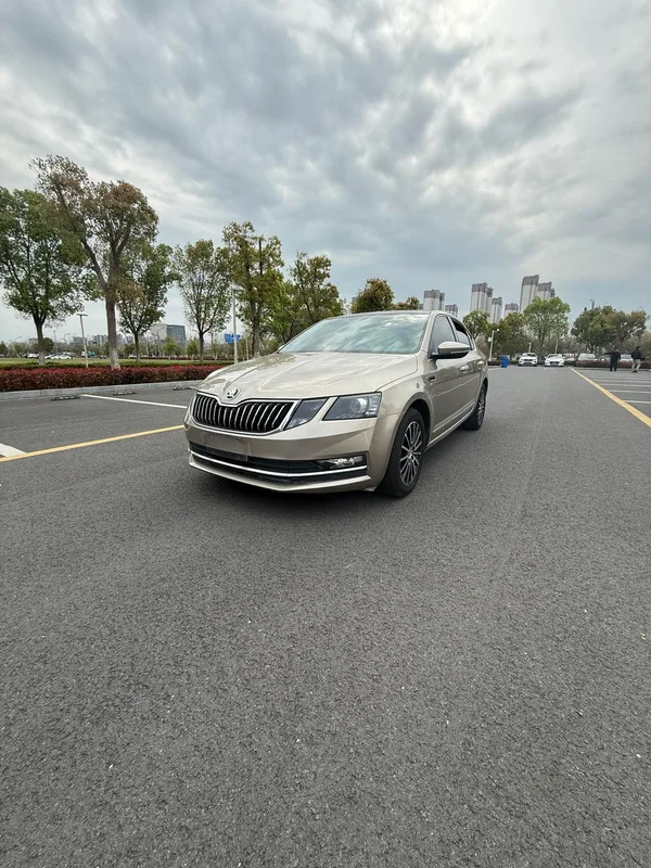 Skoda Octavia 2019 TSI230 DSG Édition de luxe de Zhixing Pays V extérieur photo 1 Skoda Octavia 2019 TSI230 DSG Édition de luxe de Zhixing Pays V extérieur photo 1