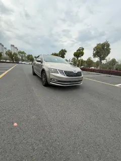 Skoda Octavia 2019 TSI230 DSG Édition de luxe de Zhixing Pays V extérieur photo 2 Skoda Octavia 2019 TSI230 DSG Édition de luxe de Zhixing Pays V extérieur photo 2