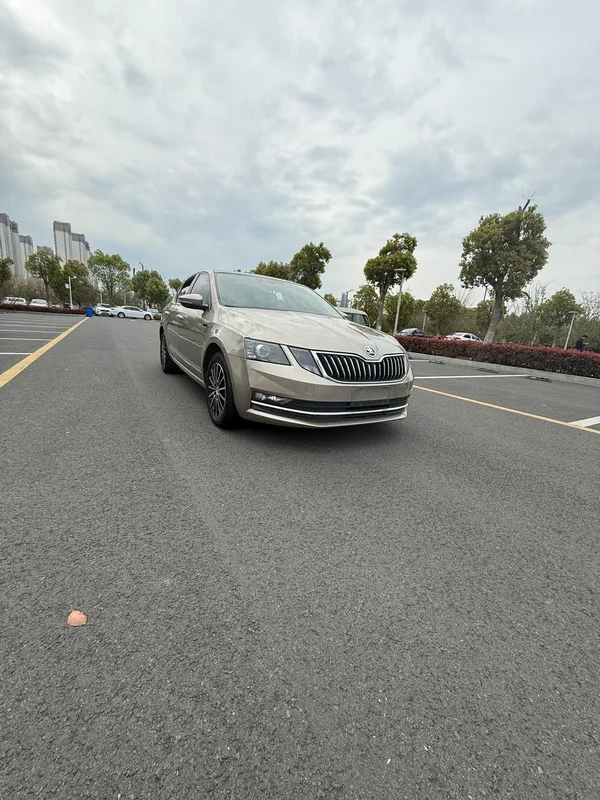 Skoda Octavia 2019 TSI230 DSG Édition de luxe de Zhixing Pays V extérieur photo 2 Skoda Octavia 2019 TSI230 DSG Édition de luxe de Zhixing Pays V extérieur photo 2