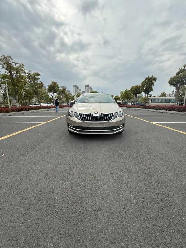 Skoda Octavia 2019 TSI230 DSG Édition de luxe de Zhixing Pays V extérieur photo 3 Skoda Octavia 2019 TSI230 DSG Édition de luxe de Zhixing Pays V extérieur photo 3