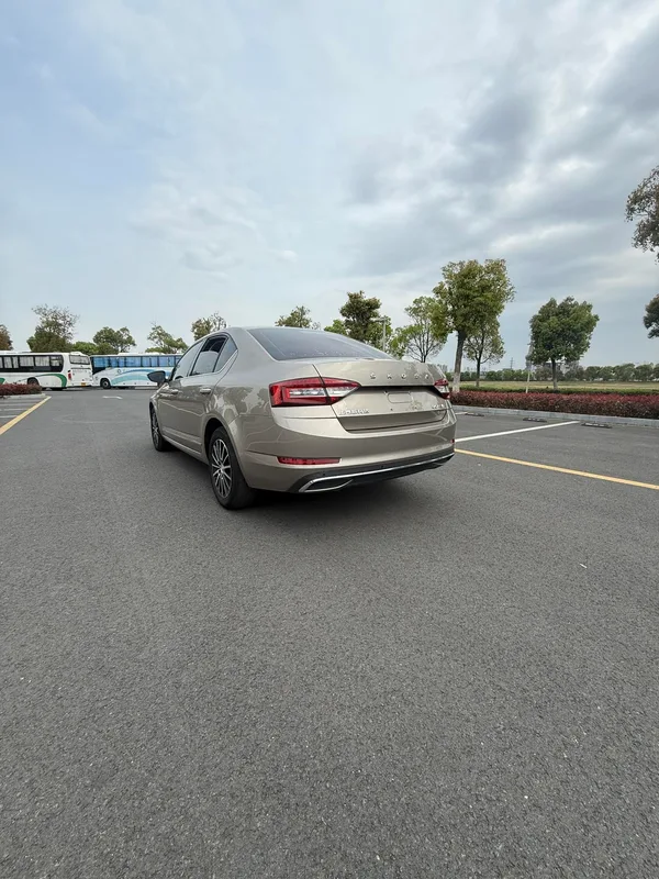 Skoda Octavia 2019 TSI230 DSG Édition de luxe de Zhixing Pays V intérieur photo 8 Skoda Octavia 2019 TSI230 DSG Édition de luxe de Zhixing Pays V intérieur photo 8