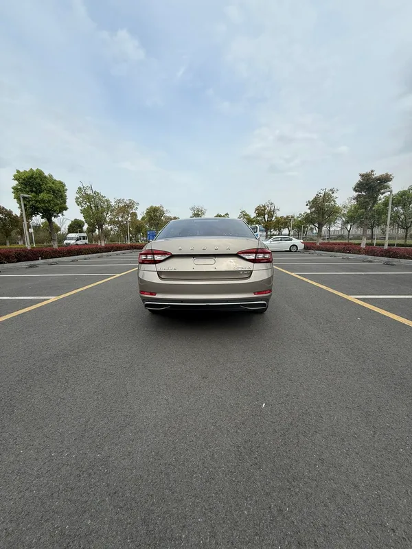 Skoda Octavia 2019 TSI230 DSG Édition de luxe de Zhixing Pays V intérieur photo 9 Skoda Octavia 2019 TSI230 DSG Édition de luxe de Zhixing Pays V intérieur photo 9