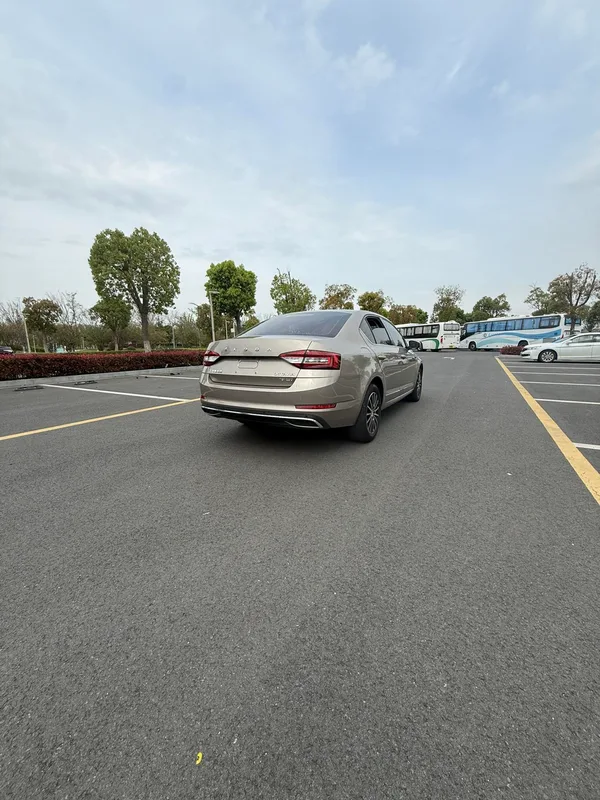 Skoda Octavia 2019 TSI230 DSG Édition de luxe de Zhixing Pays V intérieur photo 10 Skoda Octavia 2019 TSI230 DSG Édition de luxe de Zhixing Pays V intérieur photo 10