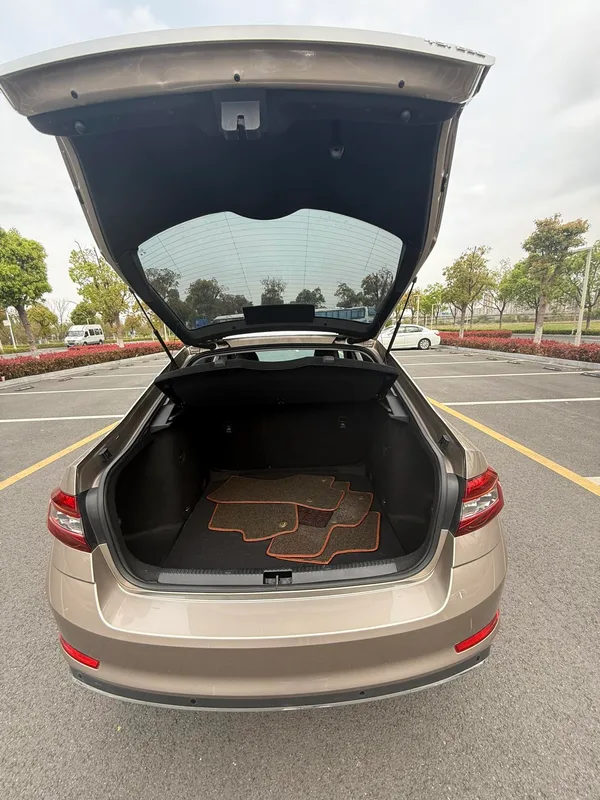 Skoda Octavia 2019 TSI230 DSG Édition de luxe de Zhixing Pays V intérieur photo 11 Skoda Octavia 2019 TSI230 DSG Édition de luxe de Zhixing Pays V intérieur photo 11