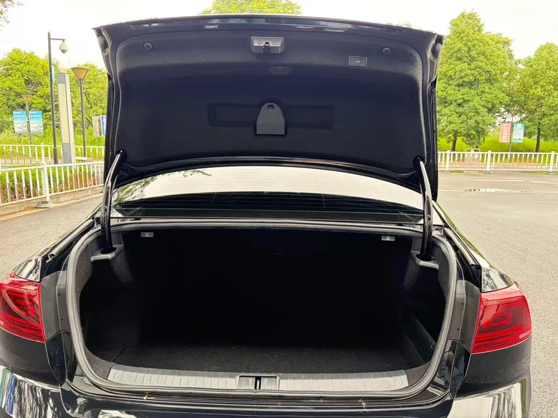 Volkswagen Magotan 2024 200 Ten thousand vehicles for all 330TSI DSG Luxury type interior photo 10