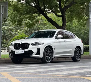 BMW X4 2022 xDrive 25i M Sports suit