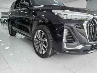 Exeed VX 2023 2.0T Cuatro ruedas, brillo estelar Siete asientos exterior foto 10 Exeed VX 2023 2.0T Cuatro ruedas, brillo estelar Siete asientos exterior foto 10