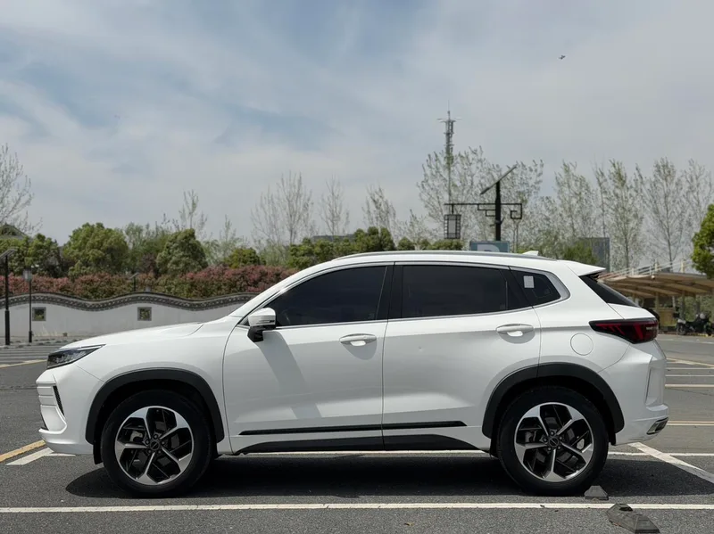 Exeed LX 2020 1.6T DCT Star Rui Edition exterior photo 4 Exeed LX 2020 1.6T DCT Star Rui Edition exterior photo 4
